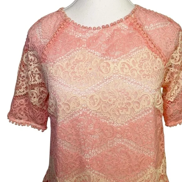 Everly Pink and Cream Lace Mini Dress NWT - Picture 4 of 14
